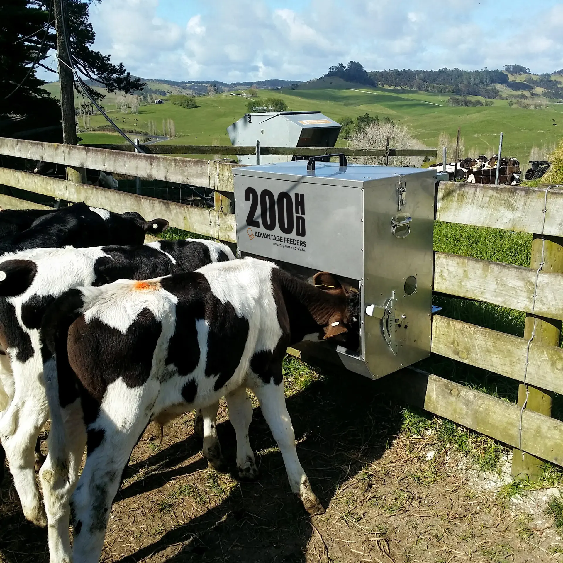 200HD Grain Feeder - Image 3