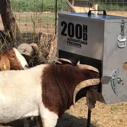 200HD Grain Feeder - Image 5