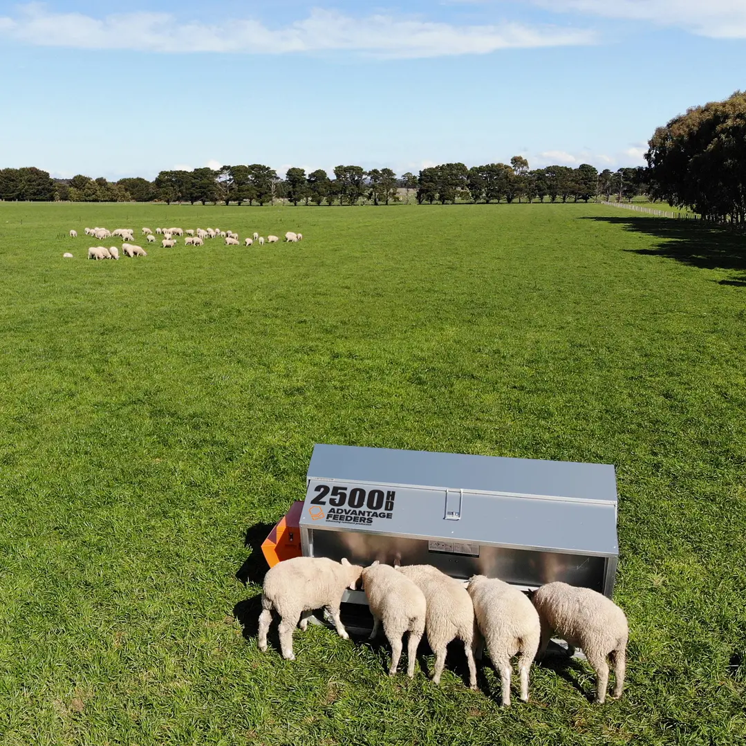 2500HD Grain Feeder - Image 3