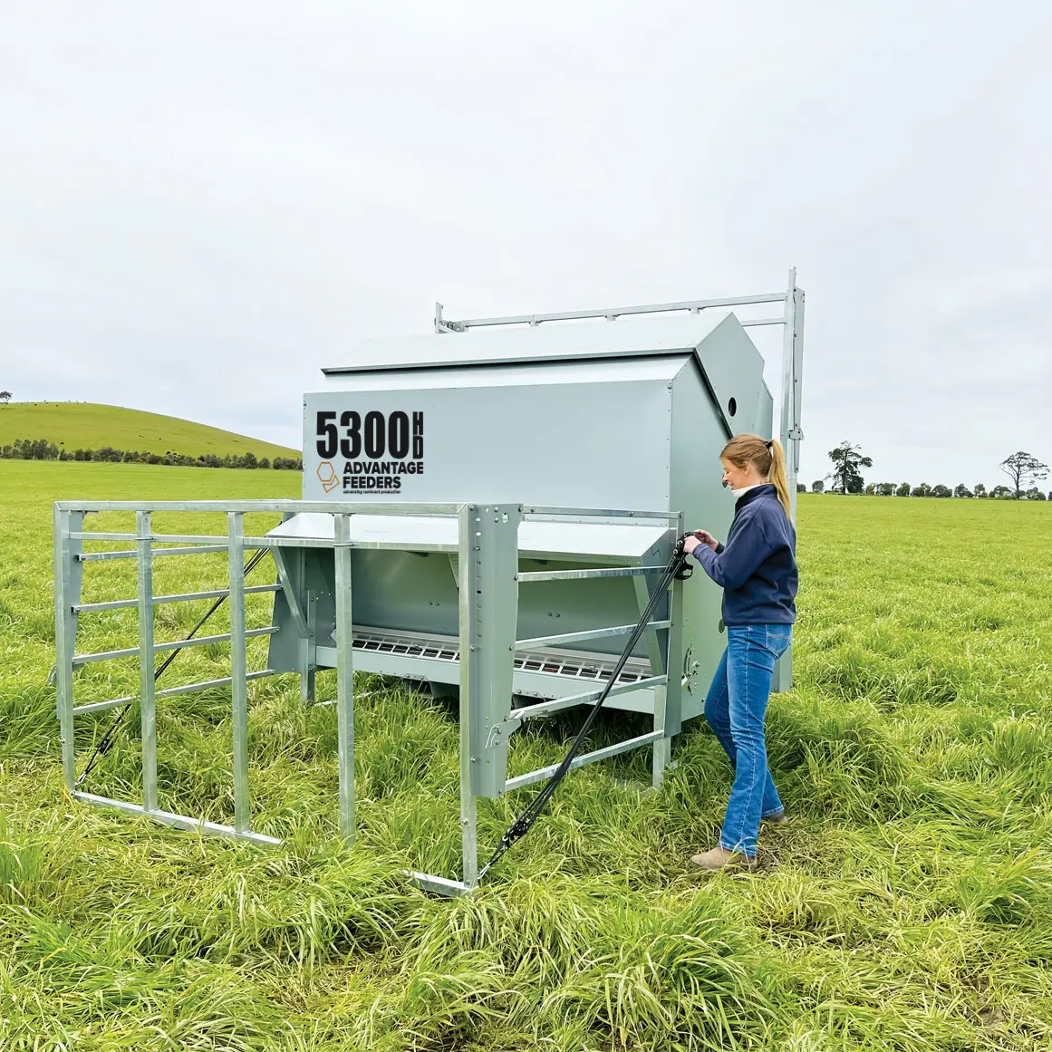 5300HD Grain Feeder - Image 6