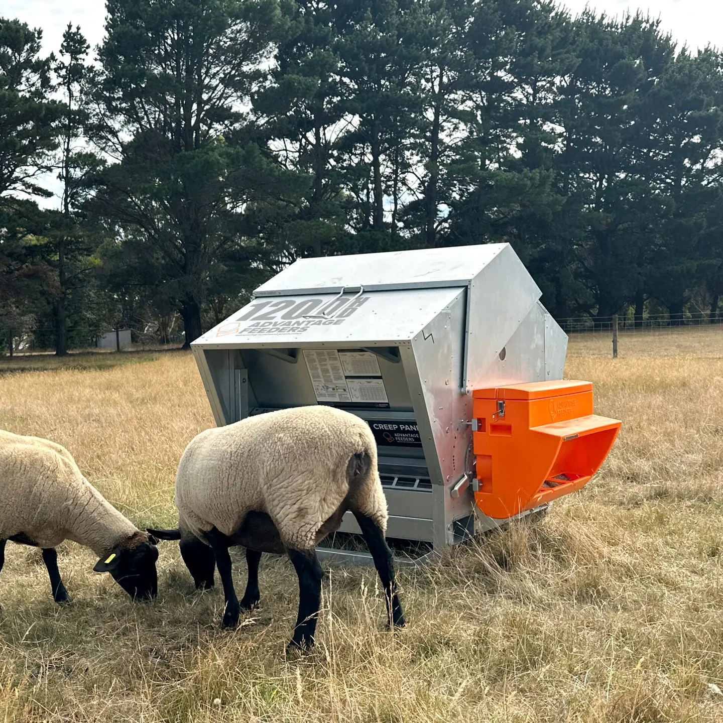 1200HD Grain Feeder - Image 5